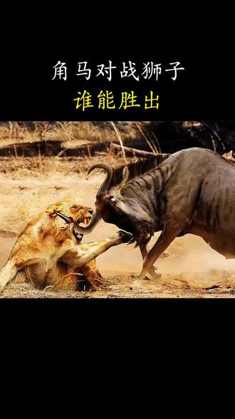 九游娱乐-精彩对阵让人目不暇接，谁能胜出？的简单介绍